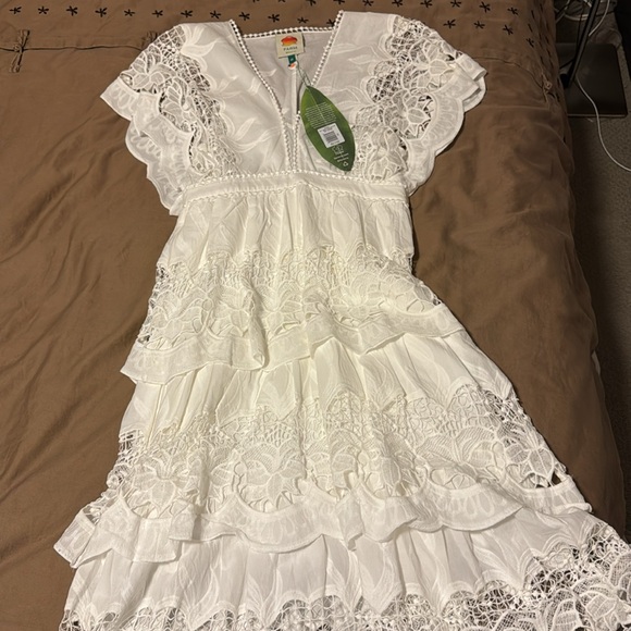 FARM-Rio NWT: Off-White Richelieu Midi Dress, size XS - Picture 6 of 6